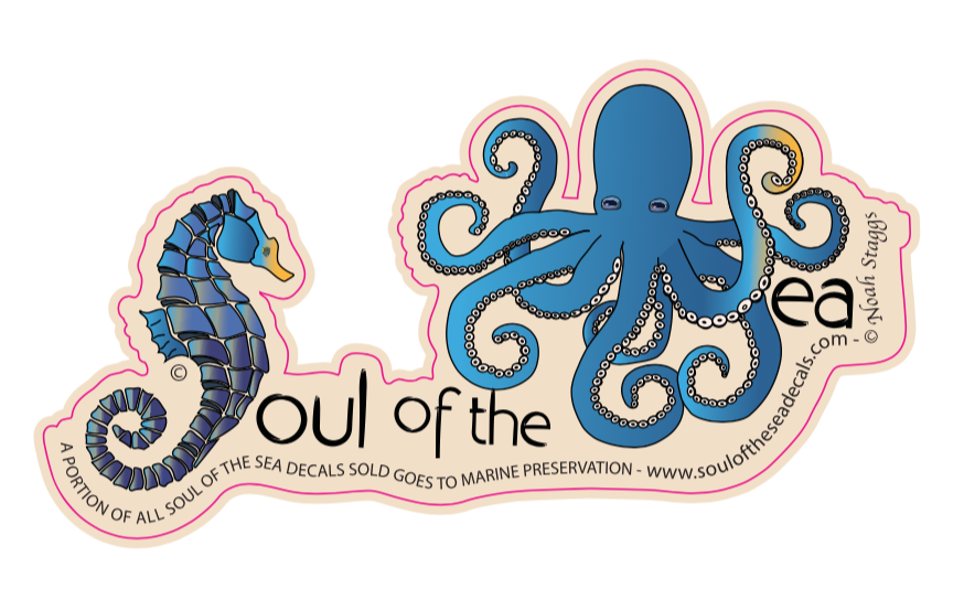 octopus-seahorse-soul-of-the-sea-decal